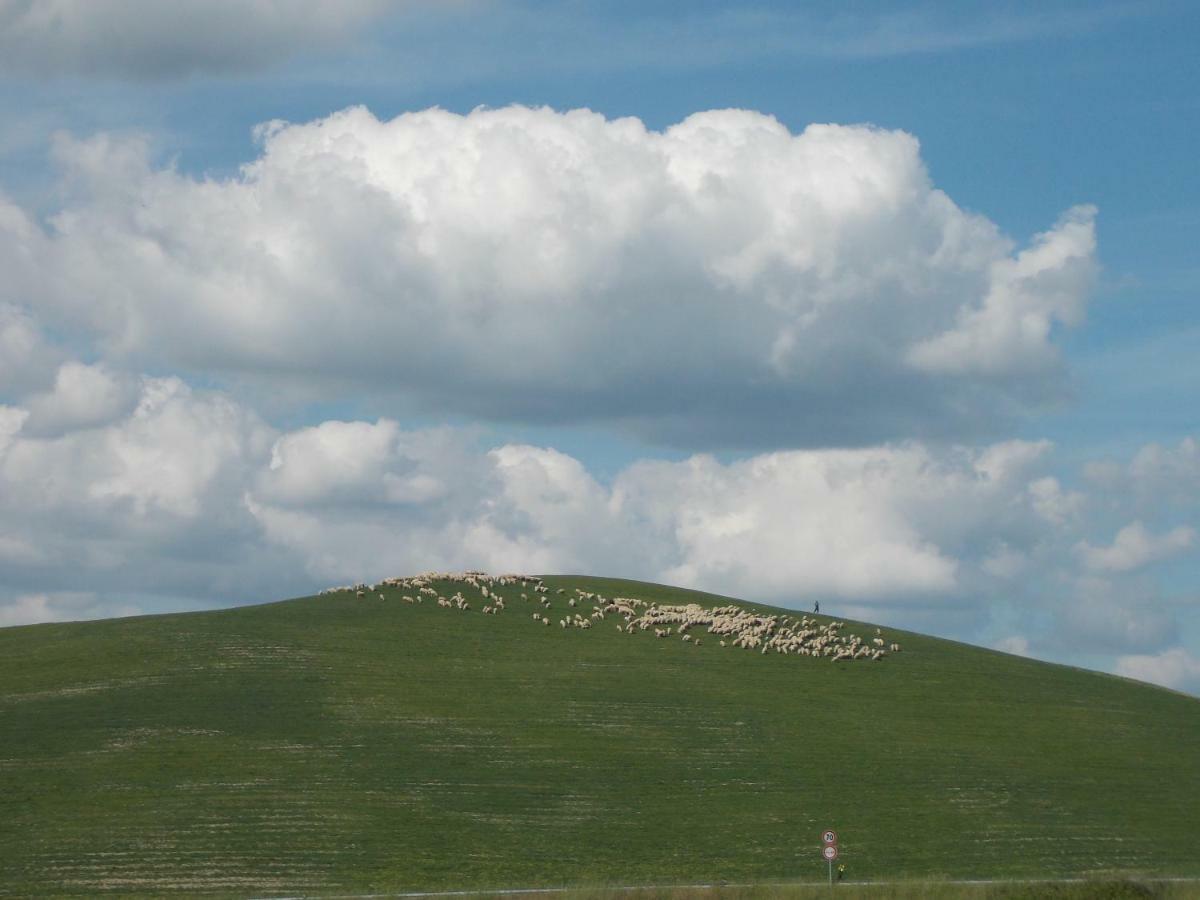 Affittacamere Casale Le Querciole Castiglione dʼOrcia Esterno foto
